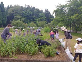 雲南健康の森